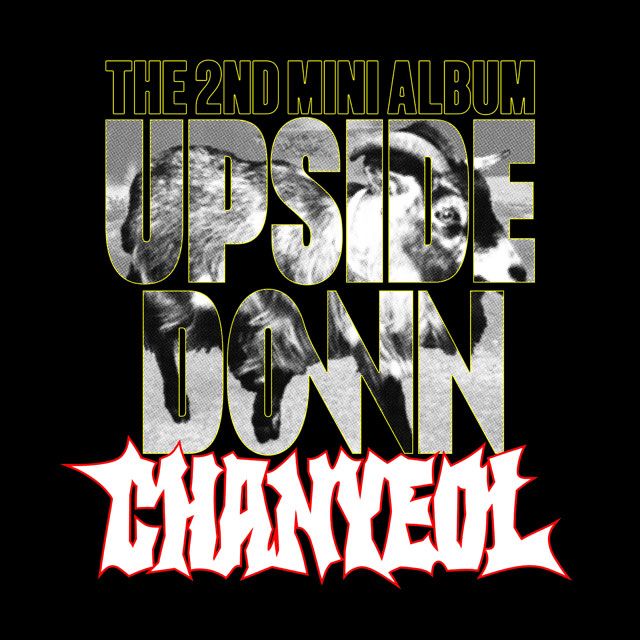UPSIDE DOWN [미니 2집] [SMINI VER]