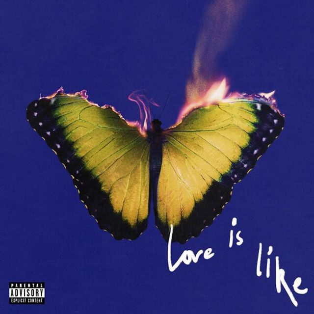 LOVE IS LIKE
