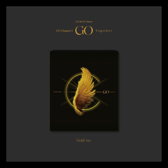 GO CHAPTER 1: GO TOGETHER [미니 8집] [GOLD VER]