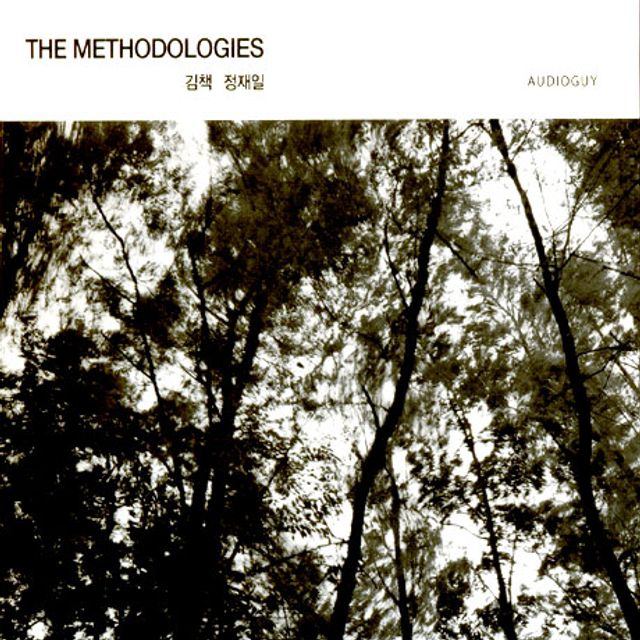 THE METHODOLOGIES