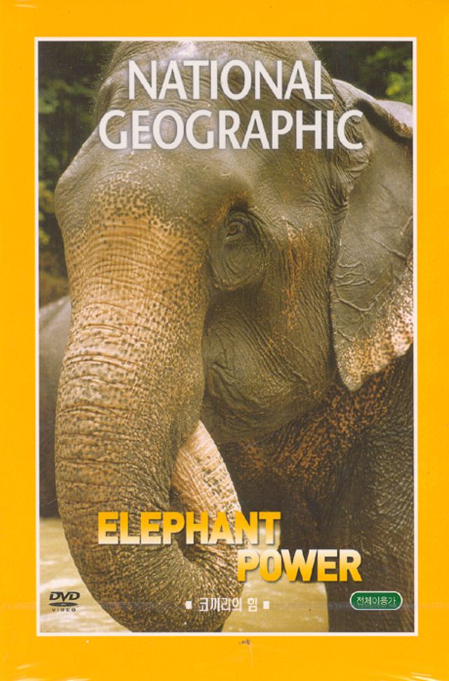 코끼리의 힘 [ELEPHANT POWER]