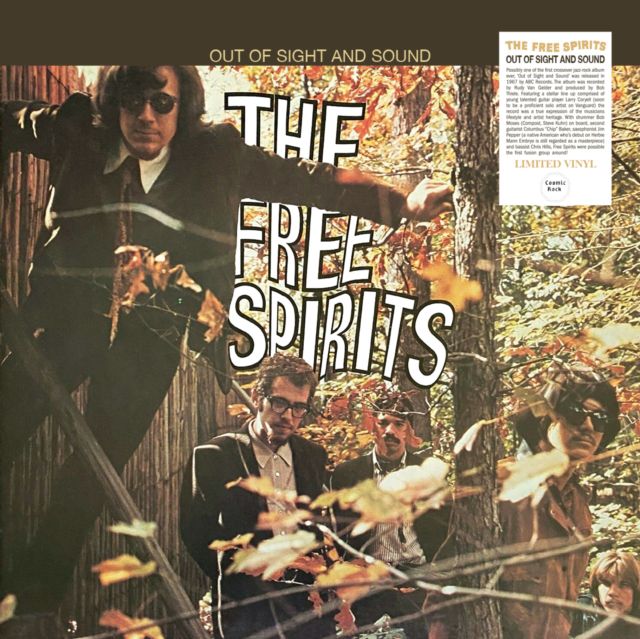 OUT OF SIGHT AND SOUND [LP]