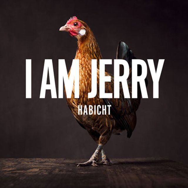HABICHT
