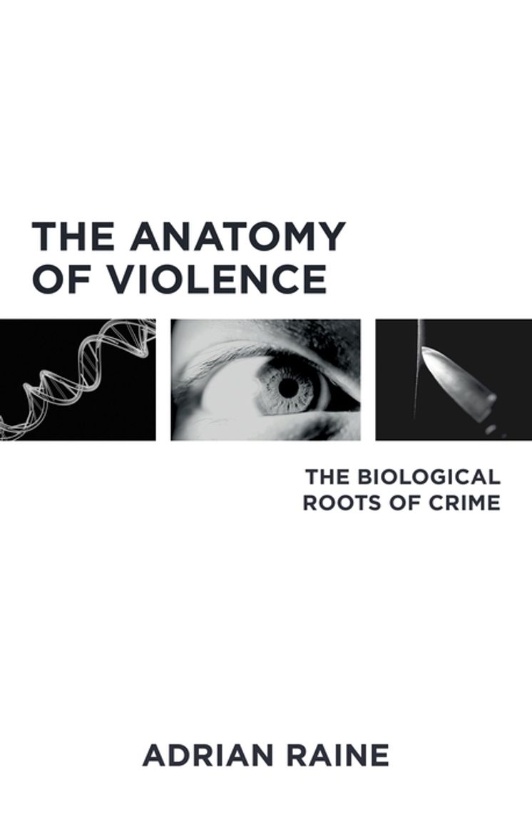 The Anatomy of Violence The Biological Roots of Crime | Adrian Raine ...