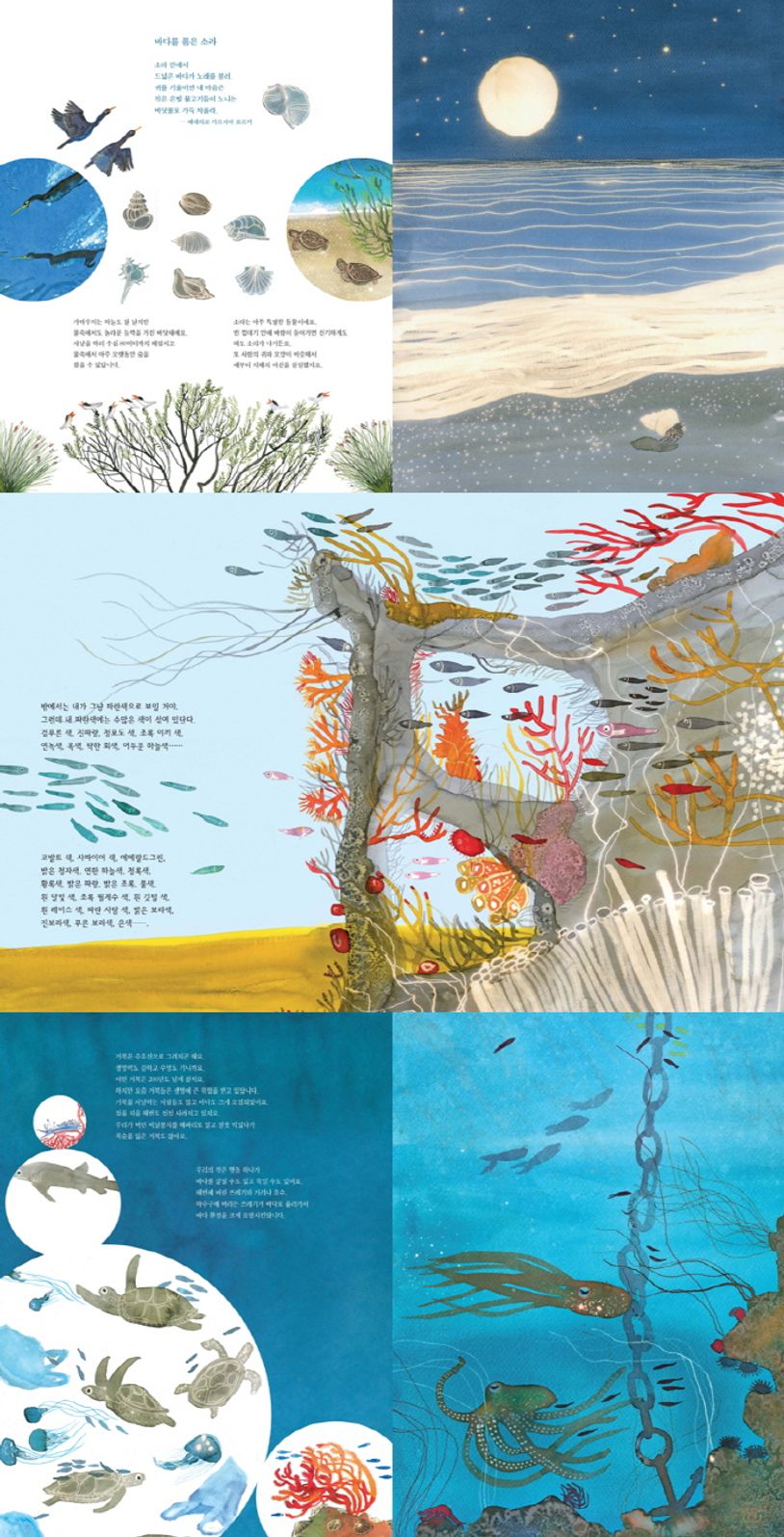 생명을 품은 바다 이야기 | 키아라 카르미나티 - 교보문고