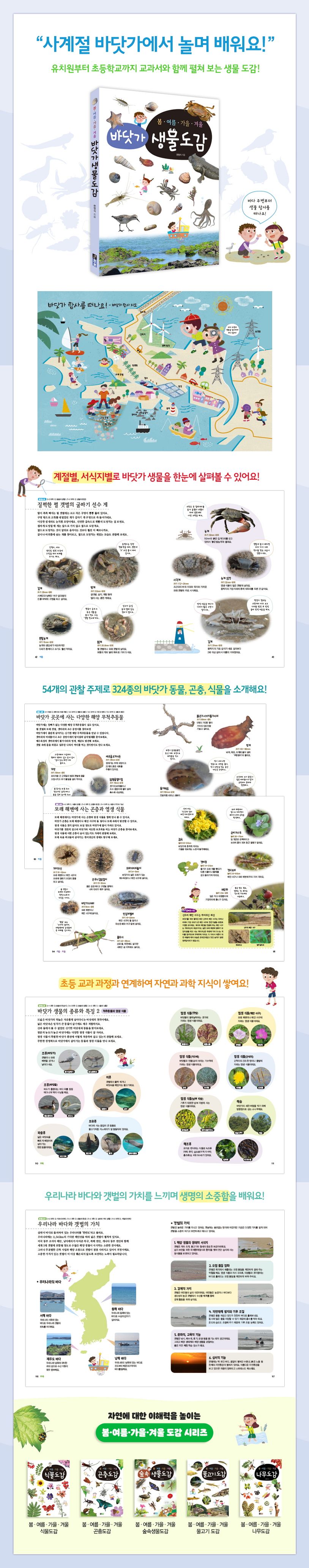 봄 여름 가을 겨울 바닷가 생물도감 상세 이미지