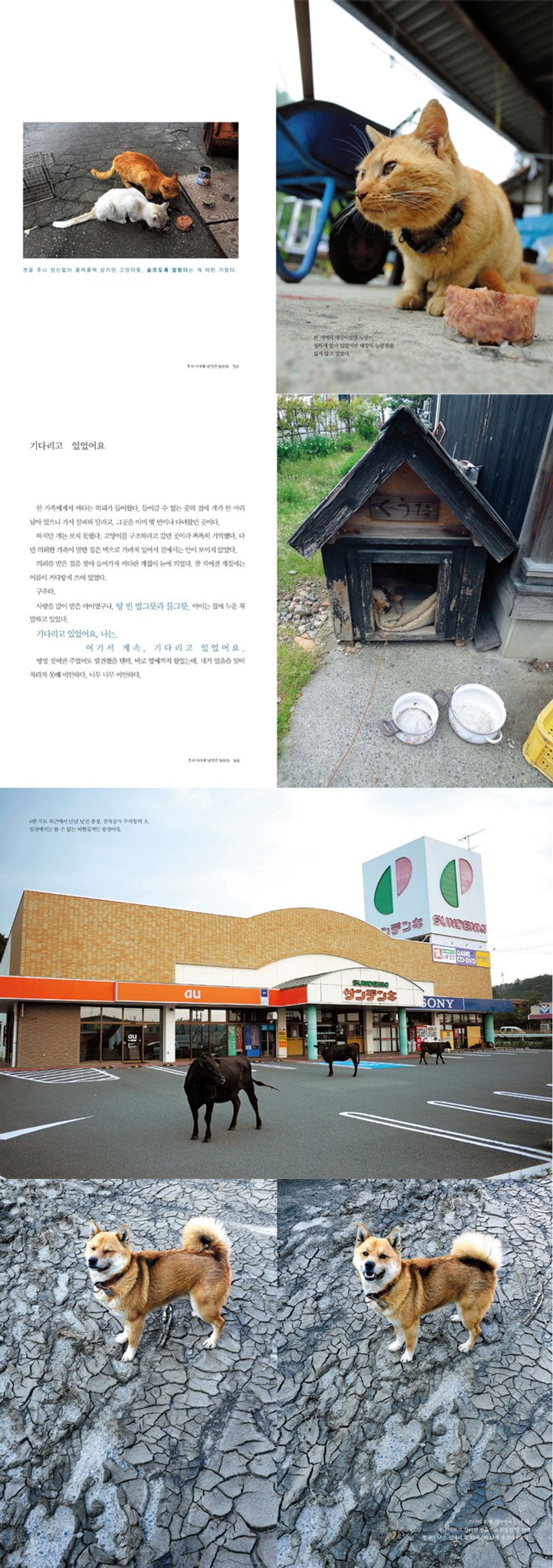 상세 정보
