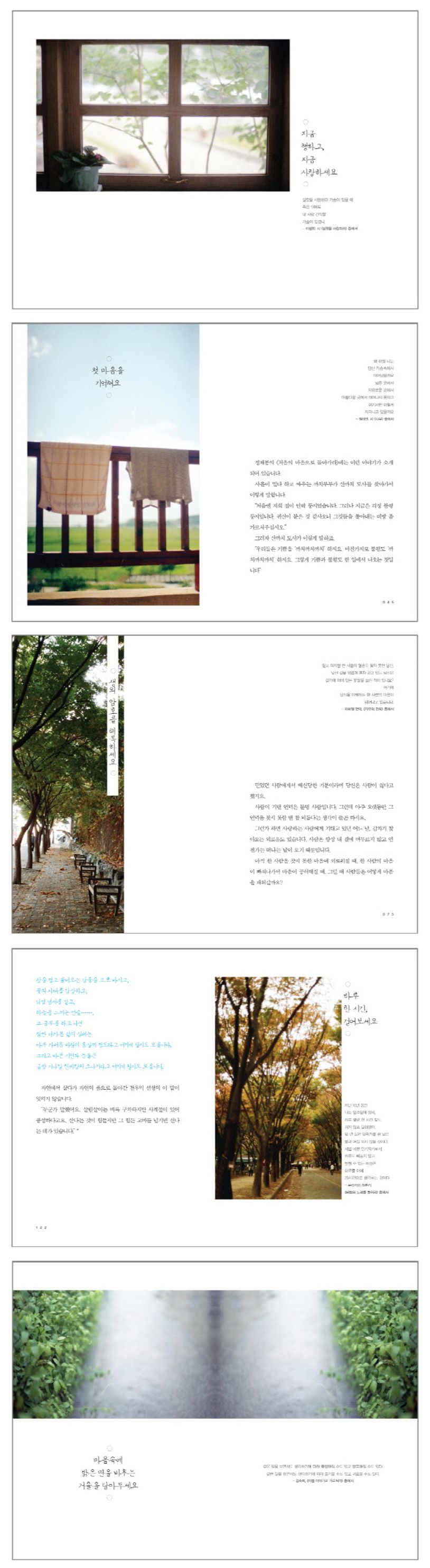 상세 정보