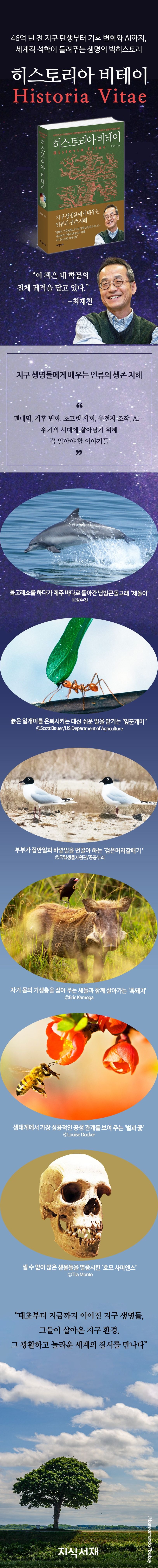 히스토리아 비테이 상세이미지