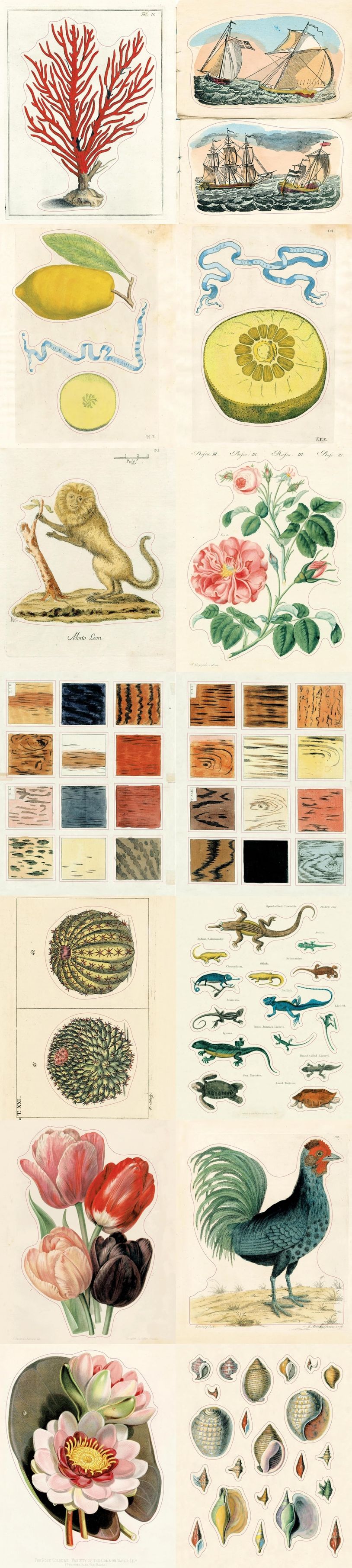 John Derian Sticker Book II | Derian, John - 교보문고