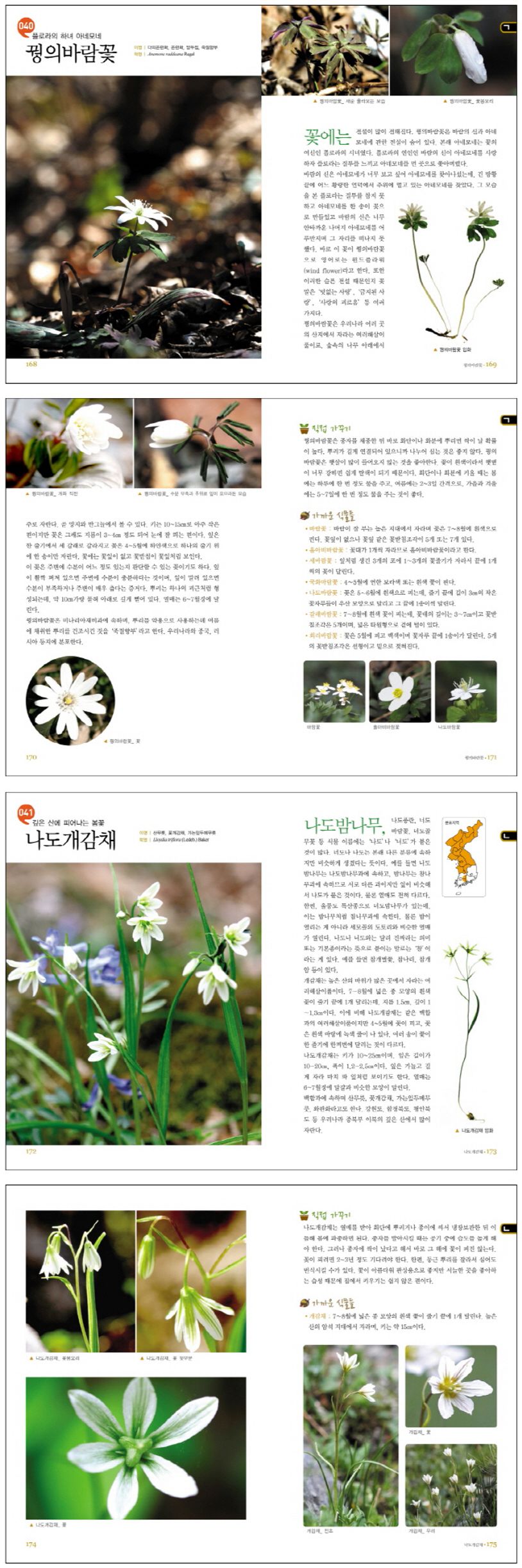 상세 정보