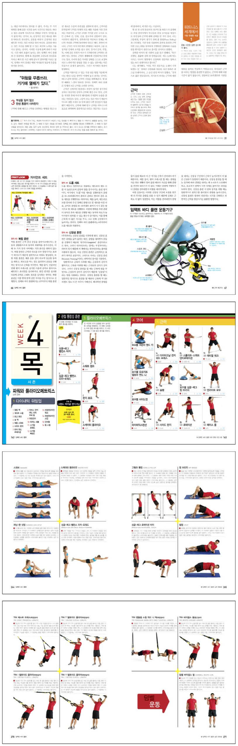 임팩트 바디 플랜 | 토드 더킨 - 교보문고