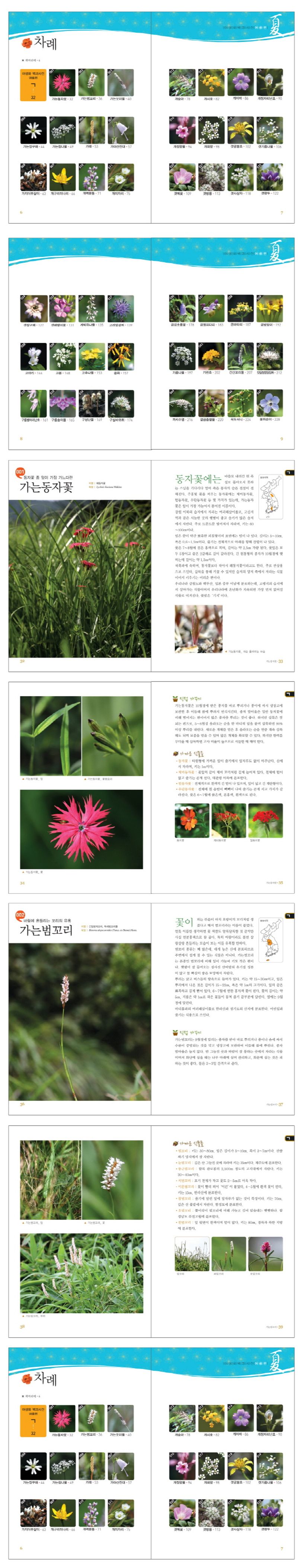 상세 정보