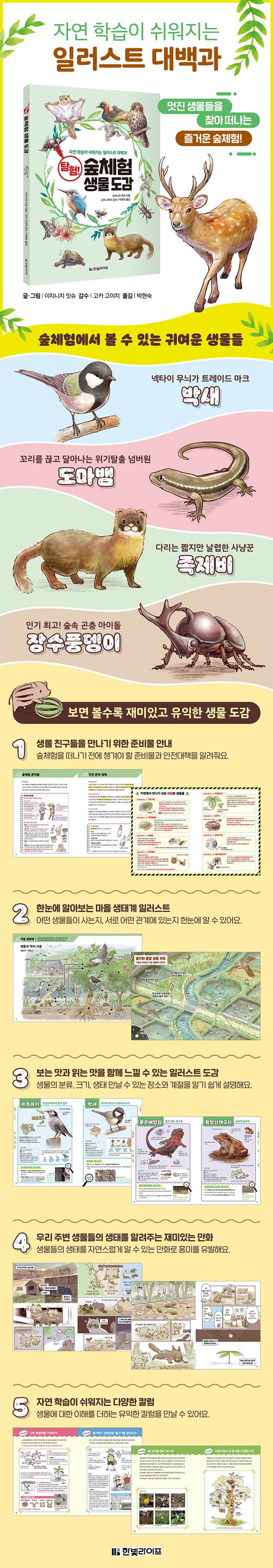 탐험! 숲체험 생물 도감 상세 이미지