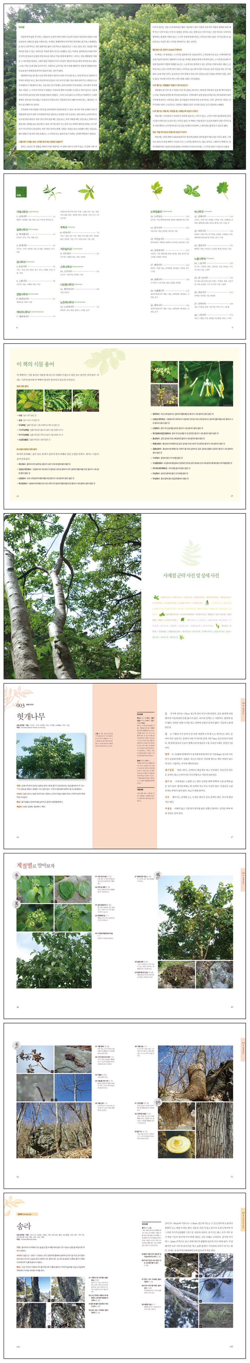 약초도감 - 교보문고