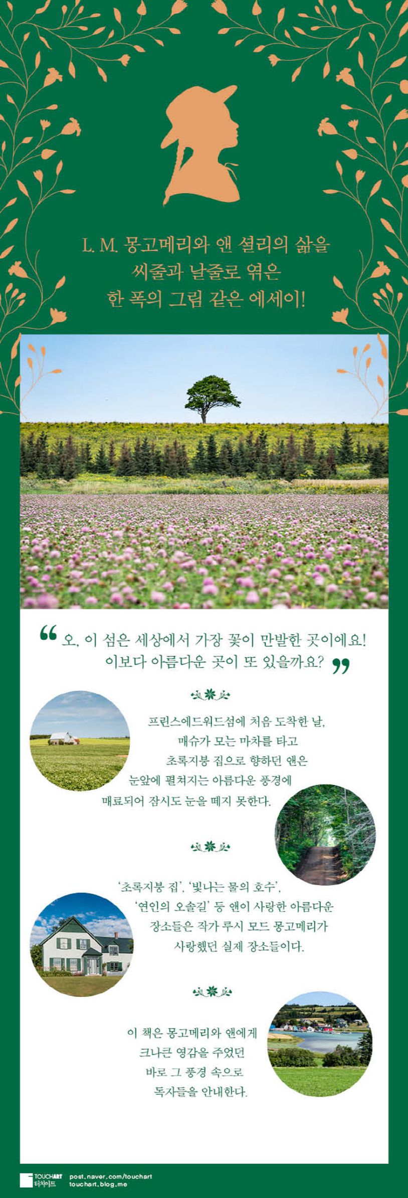 상세 정보