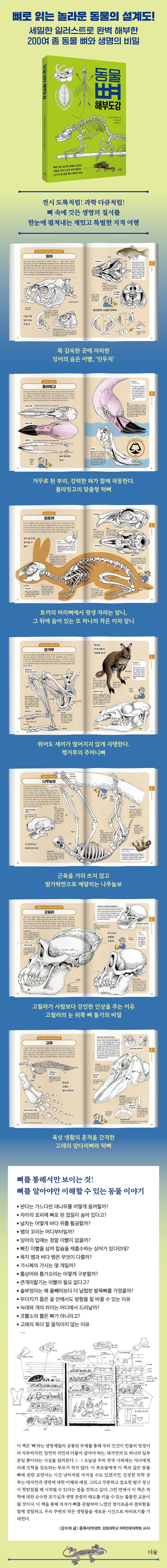 상세 정보
