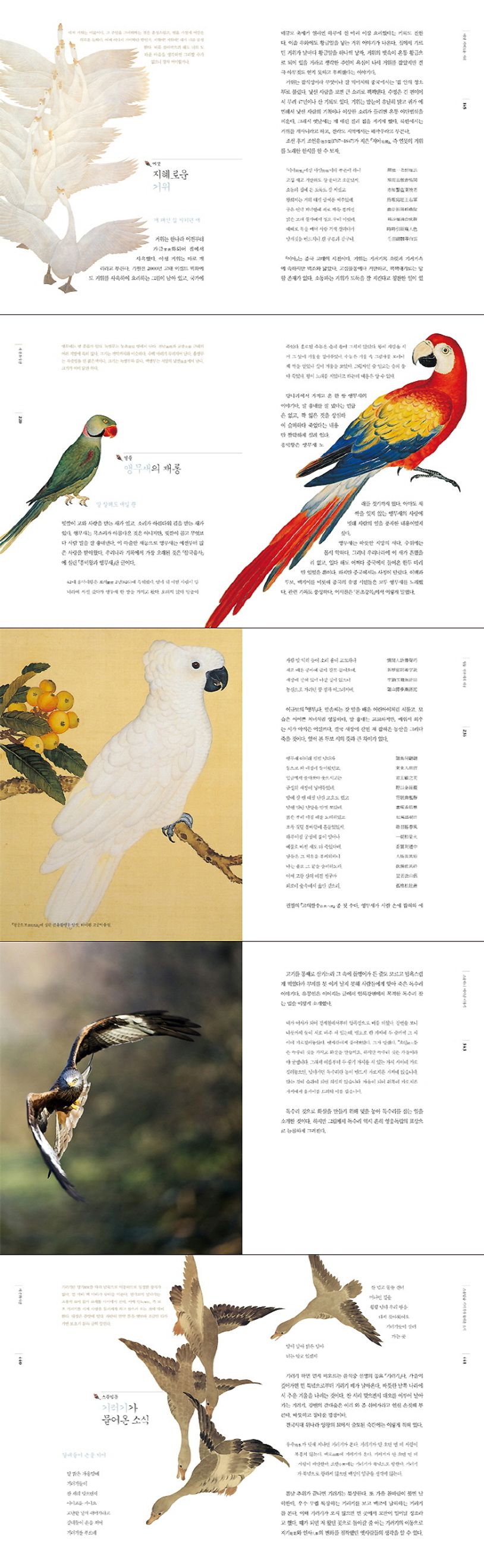 상세 정보