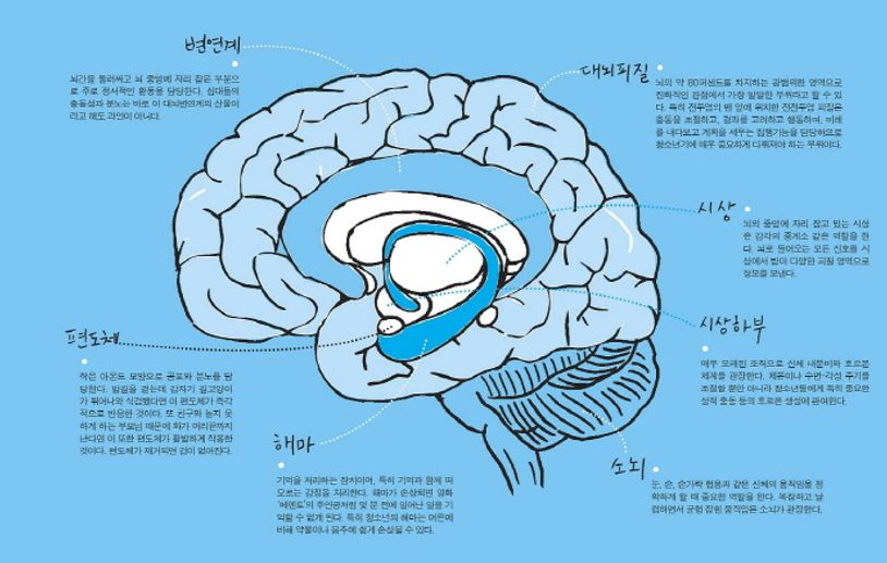우리 뇌는 그렇지 않아 - 교보문고