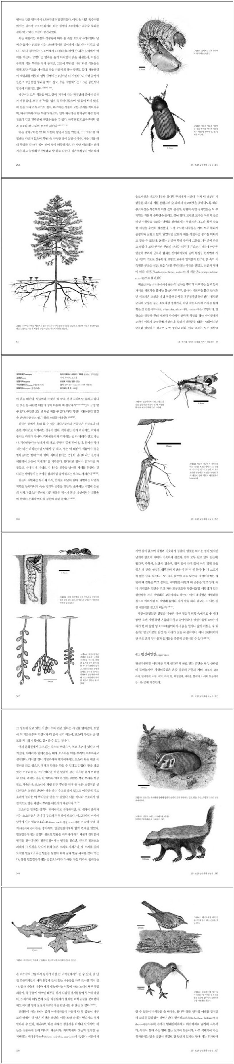 흙을 살리는 자연의 위대한 생명들 상세 이미지