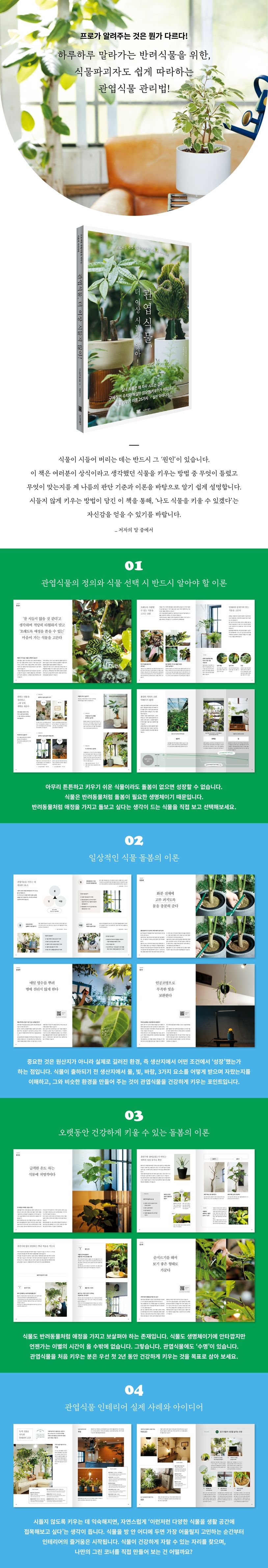 관엽식물, 더 이상 시들지 않아! 상세 이미지
