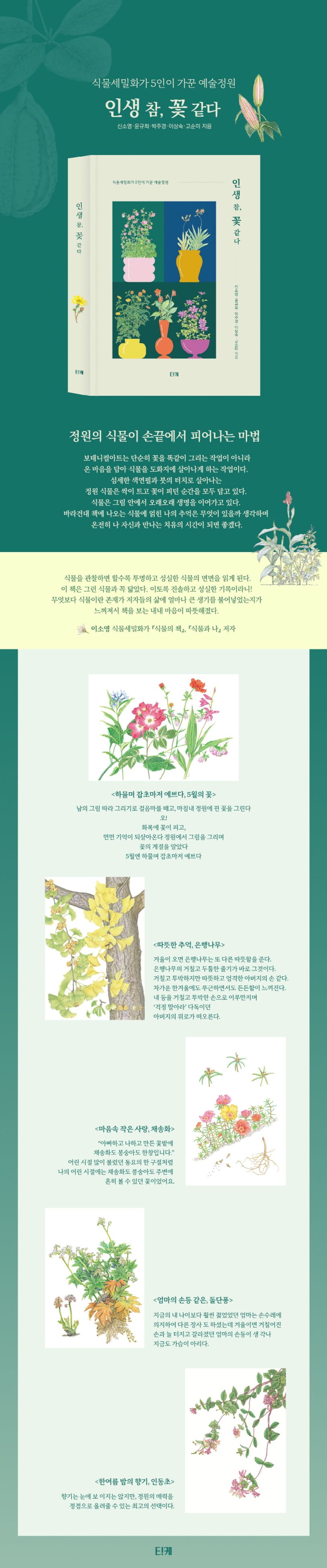 인생 참, 꽃 같다 (식물세밀화가 5인이 가꾼 예술정원 | 양장본 Hardcover) – GIMSSINE, image size:814x3895