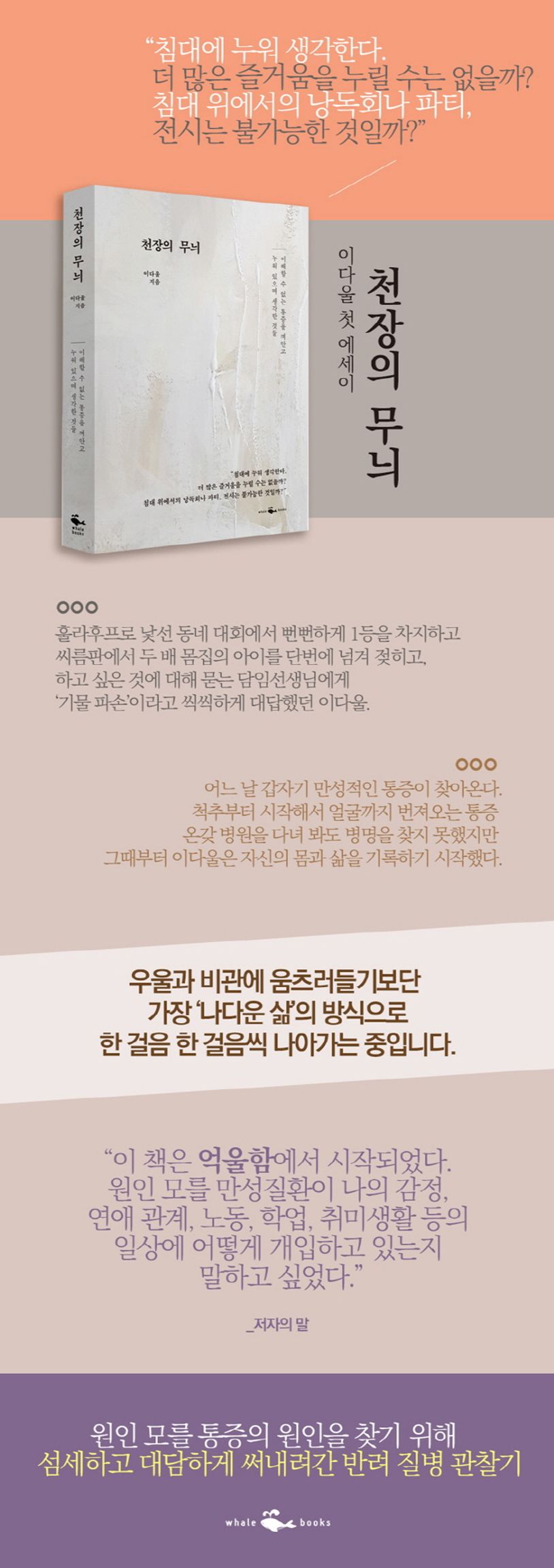 천장의 무늬 상세 이미지