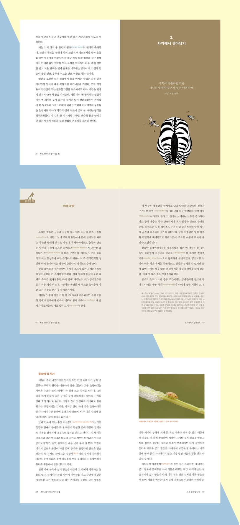 개와 고양이의 물 마시는 법 상세 이미지