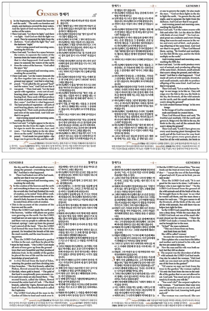 NLT 우리말성경(소단색)(단본색인)(파란색) | 두란노 편집부 - 교보문고