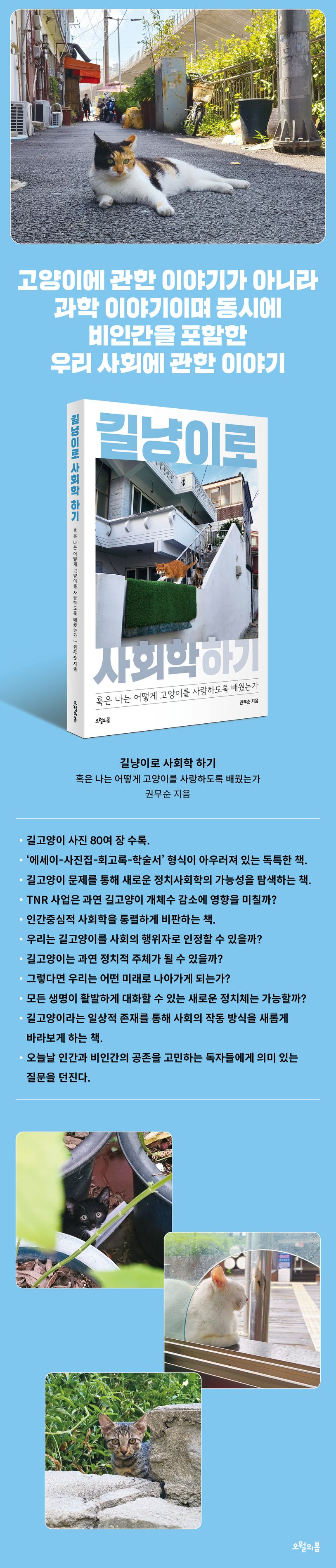 상세 정보