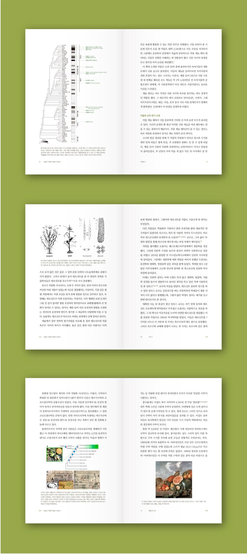 식물은 어떻게 작물이 되었나 상세 이미지