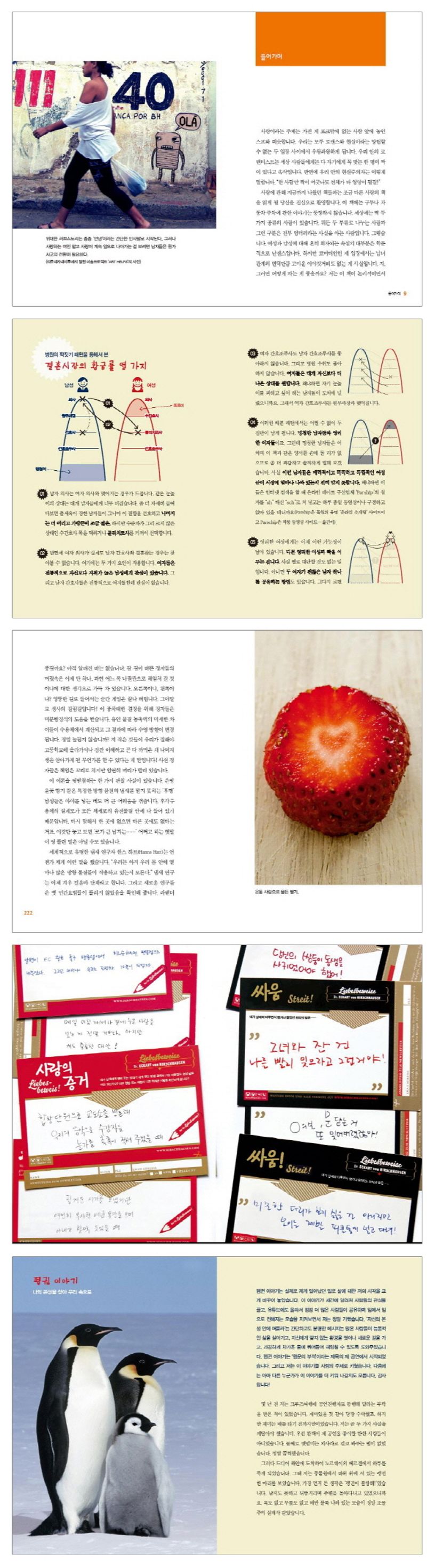 사랑은 어디로 가는가 상세 이미지