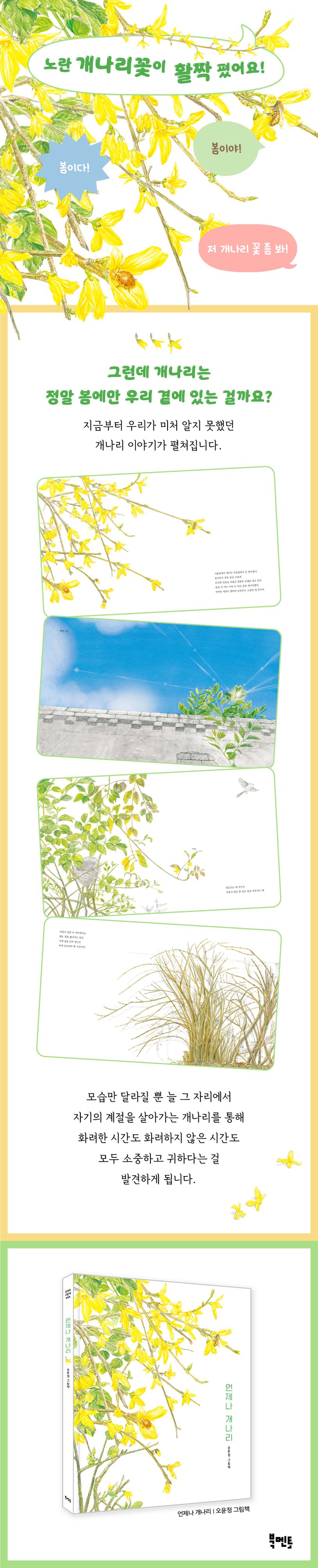 언제나 개나리 상세 이미지