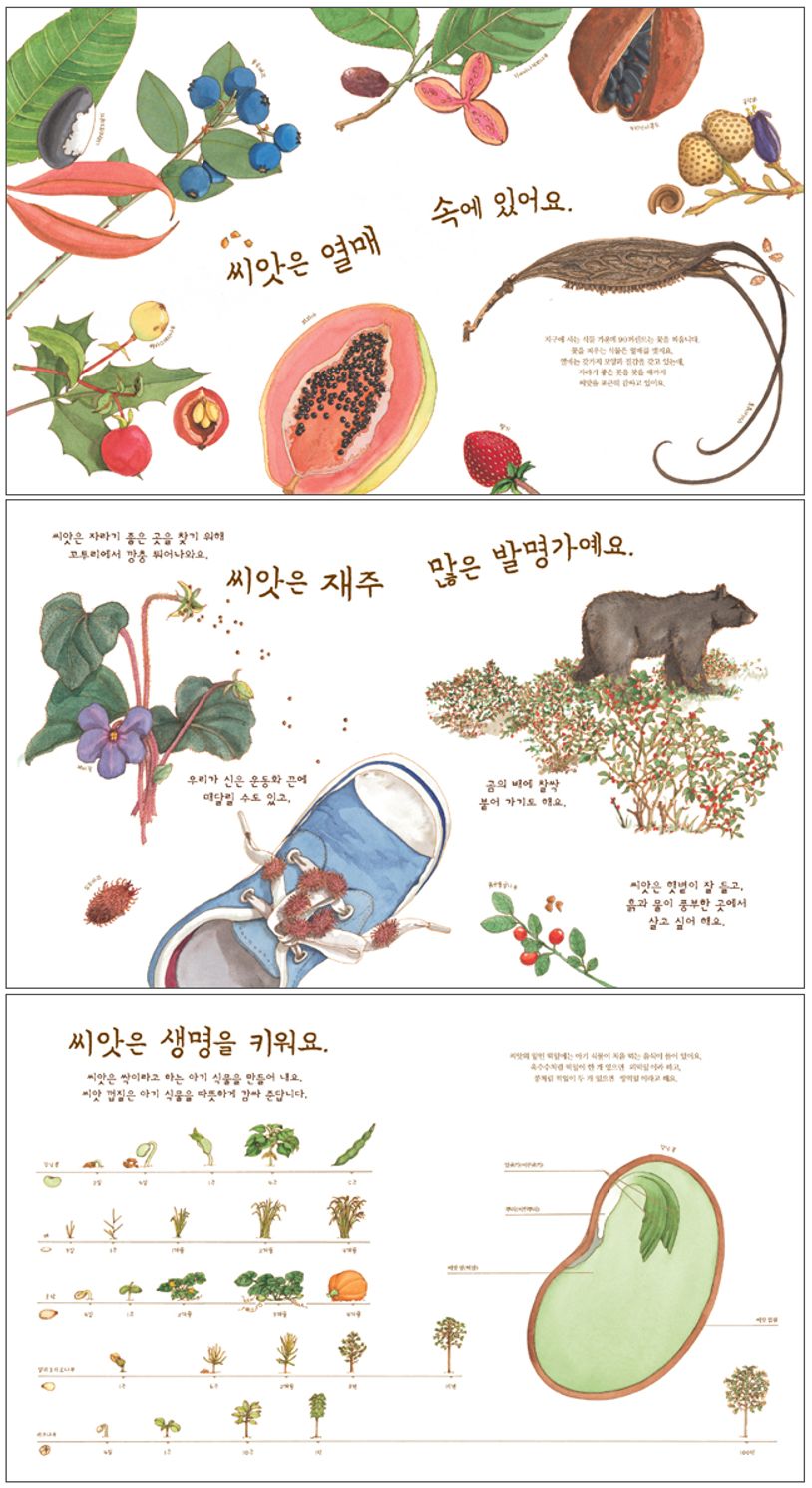 생명을 꿈꾸는 씨앗 | 다이애나 애스턴 - 교보문고