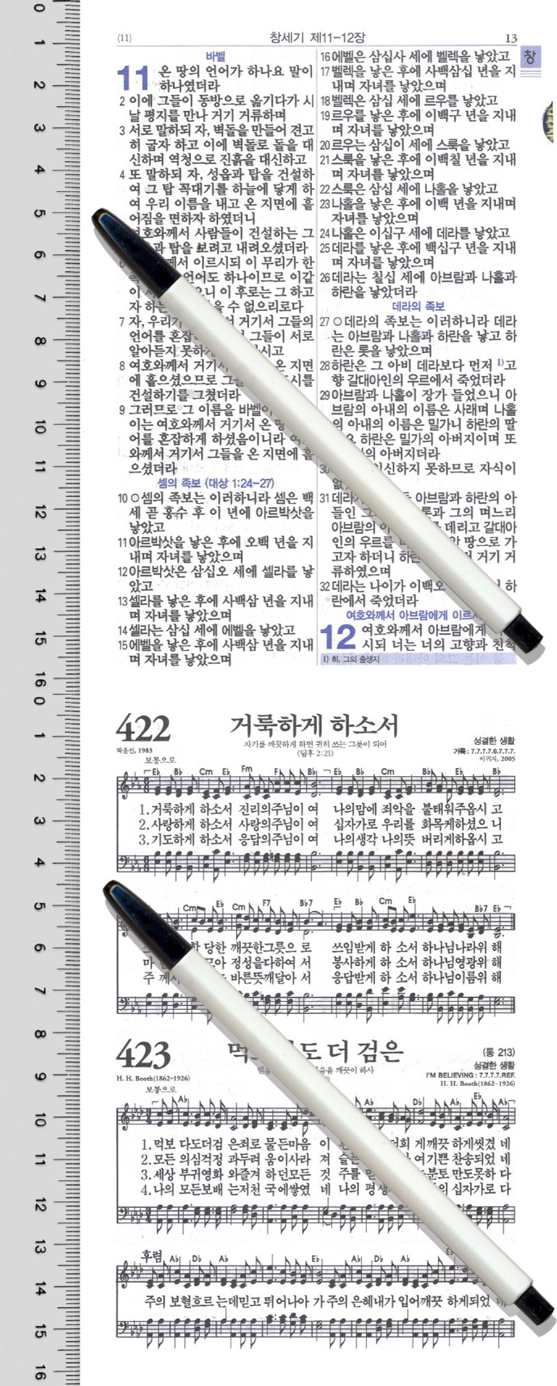 상세 정보