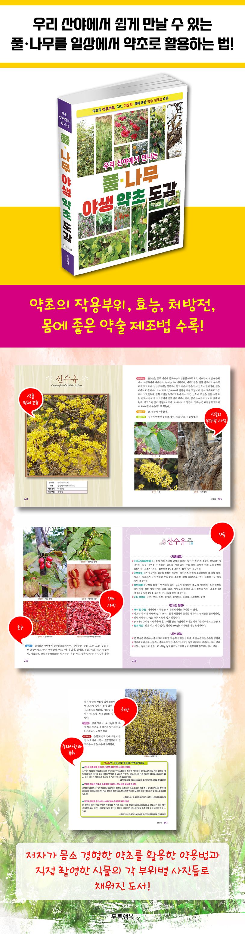 우리 산야에서 만나는 풀·나무 야생 약초 도감 상세 이미지