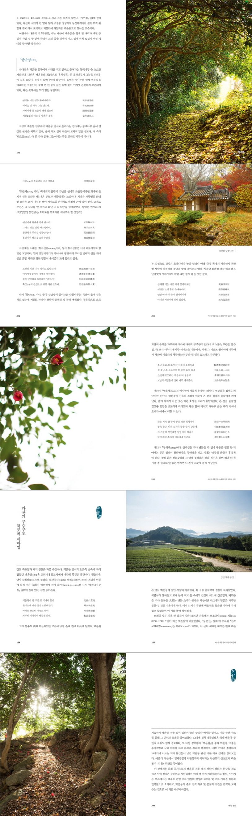 상세 정보