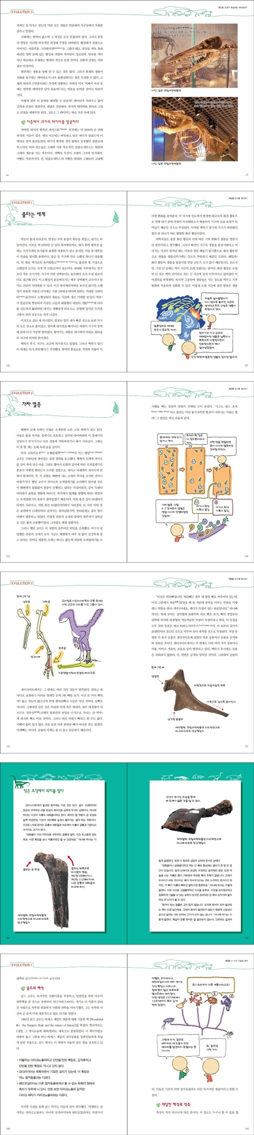 생물선생님도 몰래 보는 진화론 상세 이미지