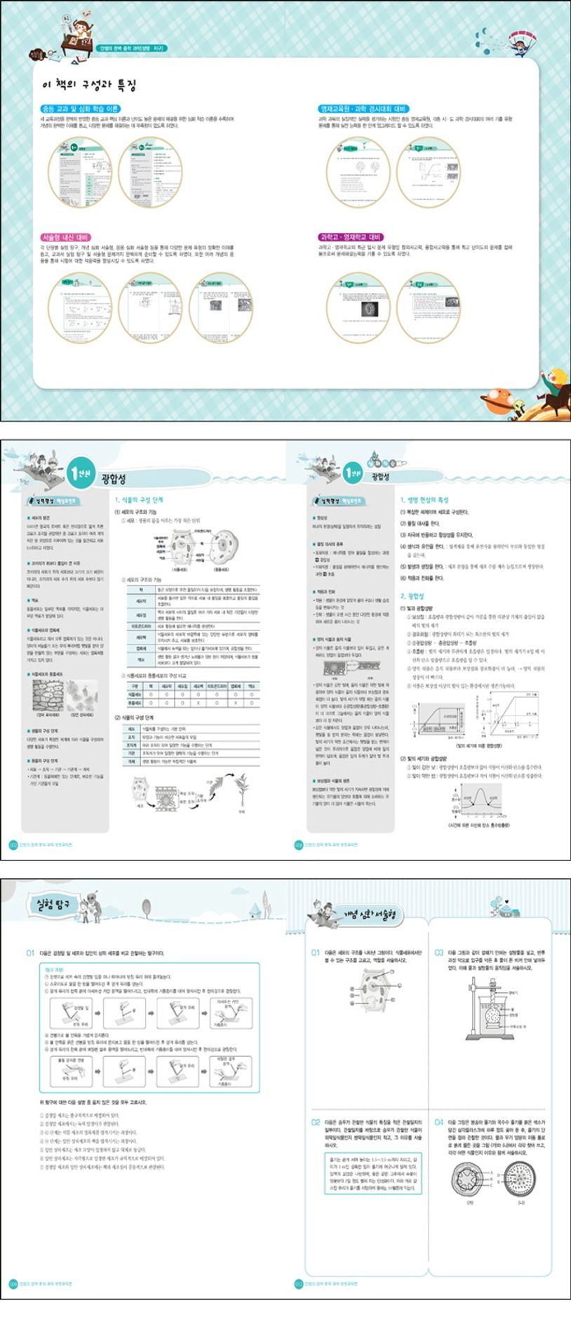 상세 정보