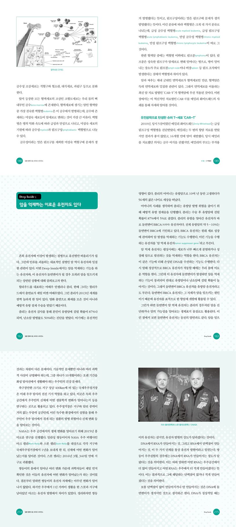 상세 정보