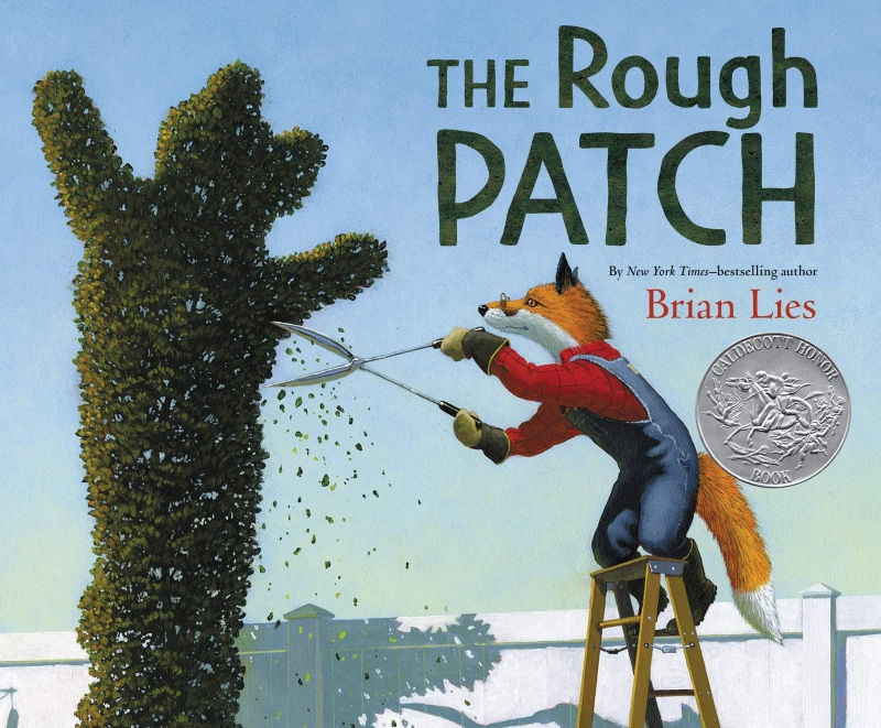 The Rough Patch 표지