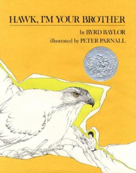 Hawk, I'm Your Brother 표지
