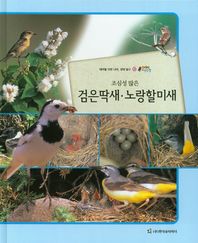 조심성 많은 검은딱새 노랑할미새 테마별 자연 나라 생태 탐구 올빼미 자연관찰