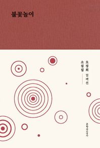 문학과지성사  불꽃놀이