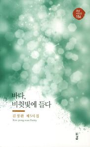 바다 비췻빛에 들다  경남시인선