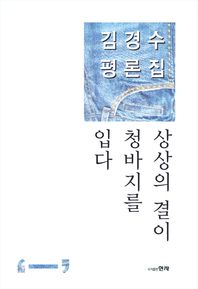 상상의 결이 청바지를 입다 김경수 평론집