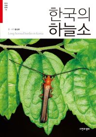자연과생태  한국의 하늘소