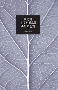 나무플러스나무  자연이 내 무선신호를 죽이고 있다