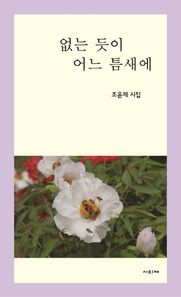 없는 듯이 어느 틈새에 조윤제 시집