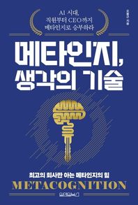 원앤원북스 메타인지, 생각의 기술 AI 시대, 직원부터 CEO까지 메타인지로 승부하라